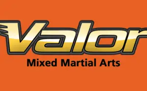 Valor Logo New